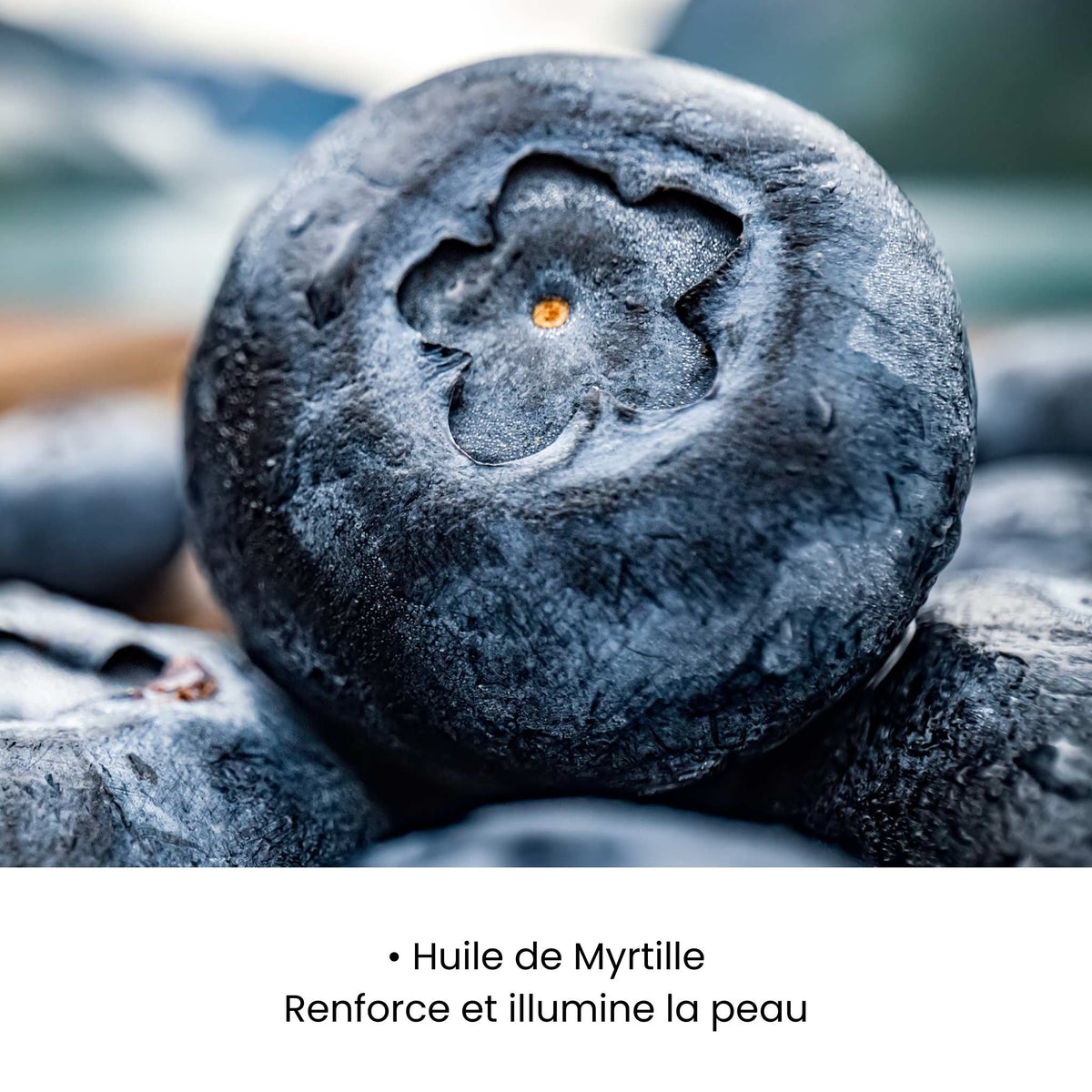 SÉRUM APAISANT REPULPANT