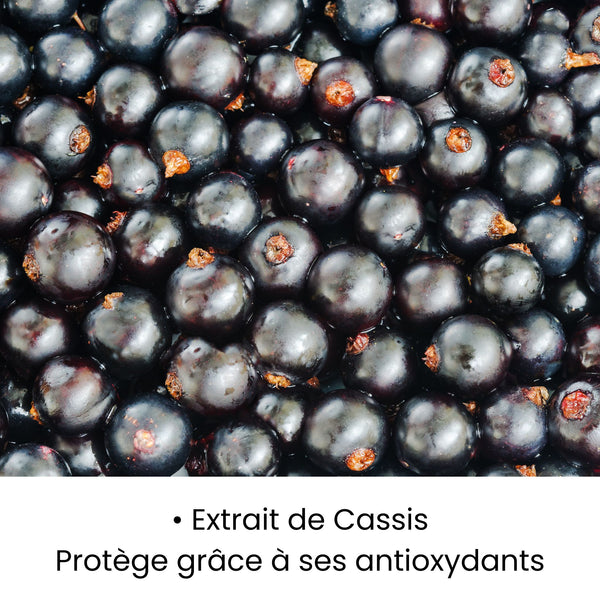 Extrait de Cassis utilisé dans les soins KALYAË ORIGIN, riche en antioxydants naturels et reconnu pour protéger la peau.